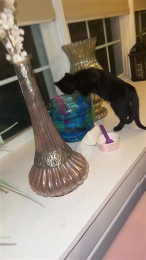 Creative Birthday Party Decorations Without Fish