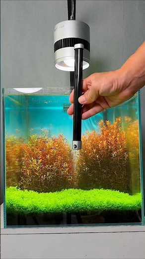 Nano Air Stone for Aquariums 🐠 Powerful Oxygen Boost for Healthy Fish #Aquarium #NanoAirStone