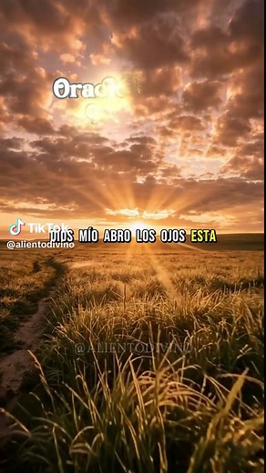 Oración de la mañana: La presencia de Dios en tu día