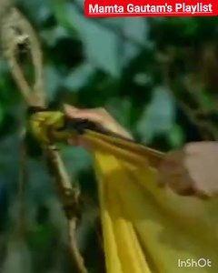 40K views · 1.2K reactions | Song Name : Koi Maane Ya Na Maane Album / Movie : Adhikar 1971 Star Cast : Ashok Kumar, Nanda, Deb Mukherjee Singer : Kishore Kumar, Lata Mangeshkar Music Director : Rahul Dev Burman Music Label : Saregama | Mamta Gautam's Playlist | Facebook