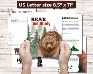 Bear Unit Study With Activity Worksheets for Kids - Etsy UK
