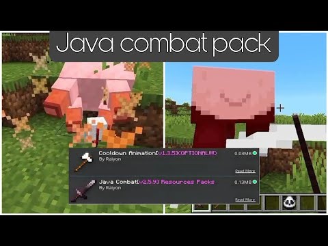 Best ADD-ON to turn POCKET to JAVA EDITION 1.21+