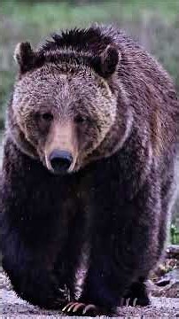 真田 広之 HIROYUKI SANADA 電気を消して TURN THE LIGHTS OFF