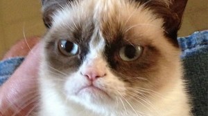 The top memes and viral videos of 2012