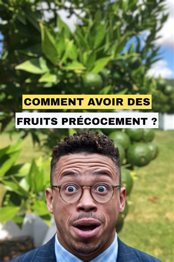 Comment fouetter la croissance de vos fruitiers? #Fouetter #Croissance #Fruitiers | Agriculteurs Modernes
