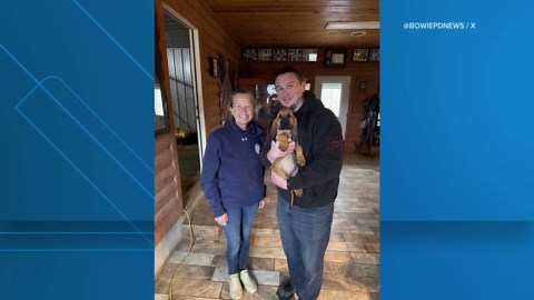 Bowie police welcome new bloodhound to the force