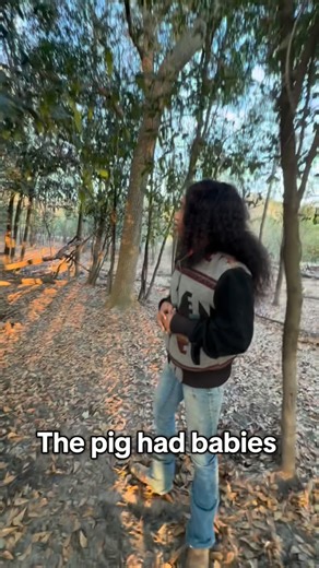 It’s KenTime! on Instagram: "More baby pigs! #farm #country #viralvideos #pig #farmlife"