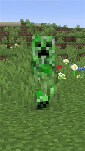 this mod adds consent to minecraft...