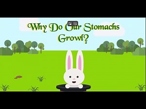 Why Do Our Stomachs Growl? Science for Kids + Parents Promote Future