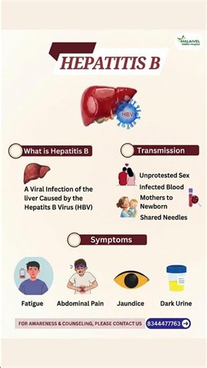 What is Hepatitis B? Symptoms, Transmission & Prevention | Malaivel Siddha Hospital