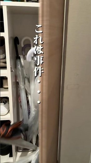 【これで解決 傘立て問題】梅雨前にチェックしておくと安心です🌧#傘収納 #玄関収納 #雨の日対策 #暮らしを整える #主婦の味方