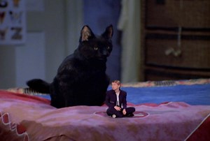 101K views · 4.6K reactions | After Sabrina gets busted for sneaking out of the house, she shrinks down to the small size she feels! | Sabrina, the Teenage Witch | Facebook
