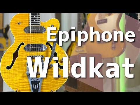 【エレキギター紹介】Epiphone Wildkat