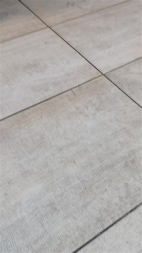 DREAM BİKE: Downhill and Freeride MTB Experience