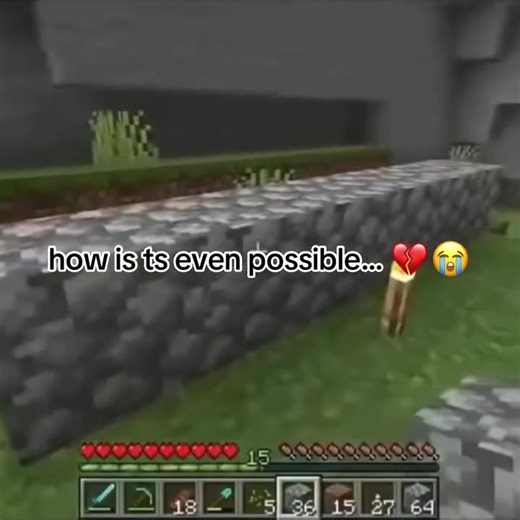 Hilarious Minecraft Glitches You Must See