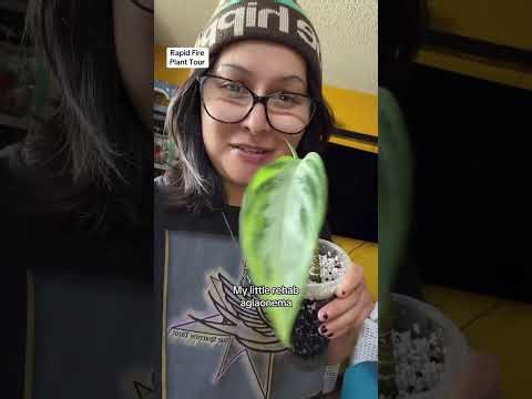 End of 2025 Plant Tour