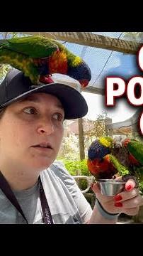 Feeding the parakeets… And trying not to get pooped on #katiew1011 #zoo ￼