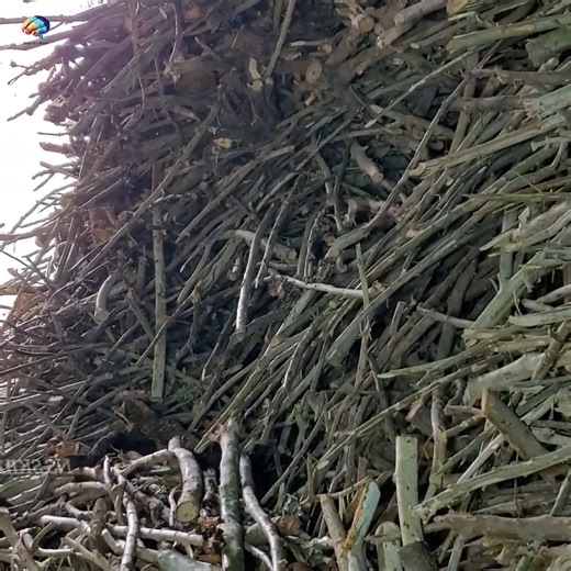 1.3M views · 6.3K reactions | Foam Manufacturing Factory #foam #manufacturing #factory | How It Made | Facebook