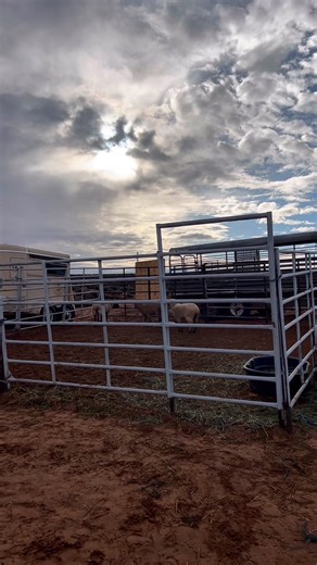 #pageaz🌵🏜 | az rapper