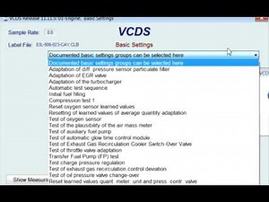 VAG-COM 1.6 TDI Basic Settings