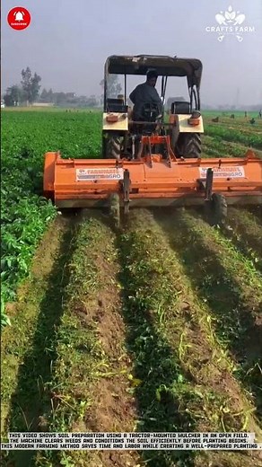 Tractor-Mounted Mulcher Operation: Efficient Soil Preparation Before Planting