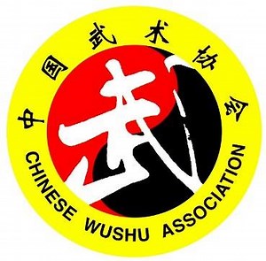 Wushu Sanda - CWA - Chinese Wushu Association: Promotion &...