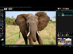 tuto gimp transformation par cage