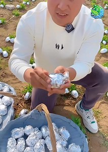 Farmers share the secret to successful fruit g | Panda Store