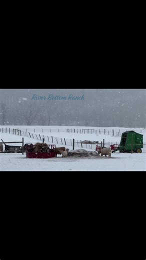 The snow/ice is pretty but glad it’s Finally getting above freezing temperatures today.