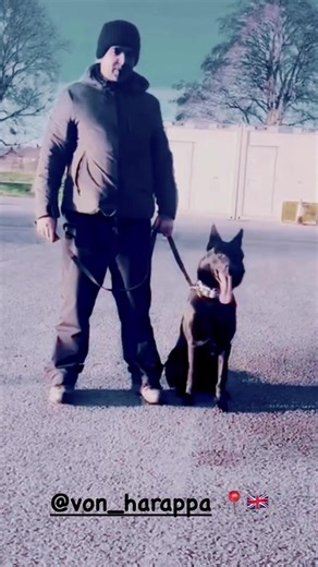 #gsd #fu #🖤 #🏹