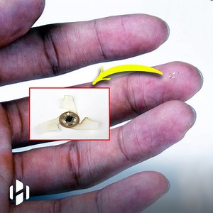 279K views · 6.7K reactions | The world’s smallest flying microchip developed by scientists. | Hashem Al-Ghaili | Facebook