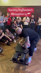 Teaching Dog|Sandwich deep tissue adjustment in Poland 🇵🇱 #hvla #chiropractic #chiropractor #physiotherapist #fizjoterapeuta #orthopedics #neurology #pubis #shoulderpain #toonytherapy #ithrust #backpain #headaches #migrene #epicondylitis #tenniselbow | Metodatoonytherapy