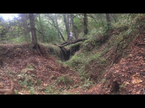 The Logs | Homeless in California