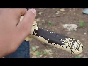 Sunday Cricket Diaries: The Unbeatable Spirit of Indian Street Play