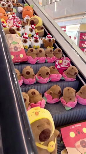 Who loves capybaras? #capybara #capybaralove #plushies #plushiesoftiktok