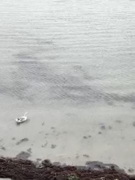 Eurika van der Merwe gesels met ons in verband met haar nuwe besigheid in Langebaan. “My besigheid se naam is ALL THINGS NUTRITION. Ek help ek mense wat hulle gesonheid en immuunstelsel wil verbeter, gewig verloor, gewig wil optel, sportprestaties verbeter of mense wat meer energie nodig het. Ek doen hulle Wellness Assesment ( welstand assesering) mbv n scanner tee waarde van R550 maar ek doen dit nou verniet om my besigheid bekend te stel. “ 📌:-Winkel 16, Expo sentrum, Millenial Arch, Jan Oelo