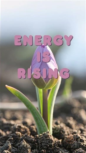 Spring Forward 🌞 The Energy of the Season Is Rising