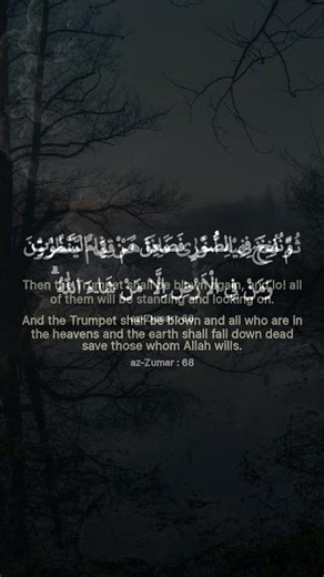Surah Az-Zumar 68 | Quran with English Translation