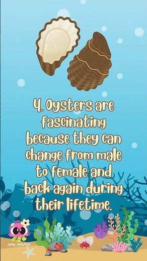 Oyster facts for kids 🦪 #facts #funlearning #seaanimals #animation
