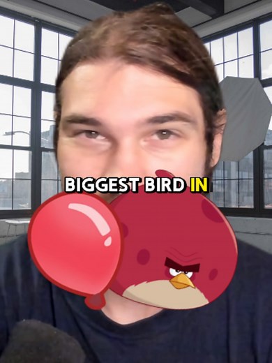 Terence vs Pink Bloon: Who's Faster?