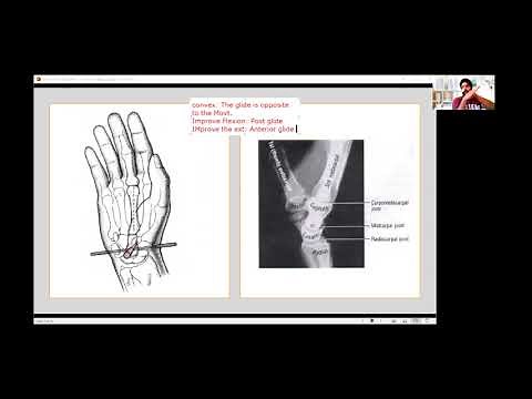 Wrist Joint Arthrokinematics | Detailed Explanation | Types & Structure | Physiotherapy In Canada