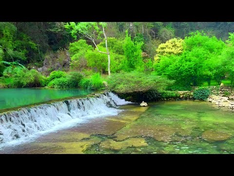Peaceful Nature Sounds for Meditation and Relaxation, Forest Stream and Birds Chirping, White Noise