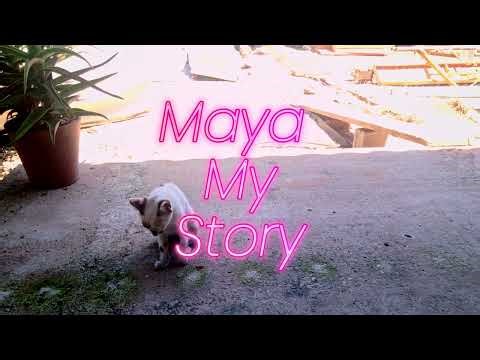 Maya Story