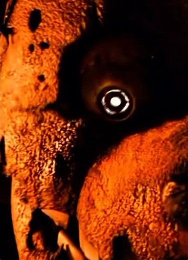 Spring trap x montagem domer