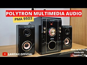 Review Speaker Polytron PMA 9503