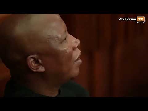 Malema testifies that he may call for slaughtering of white people in the future