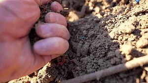 clip-3535254103-microplastic-pollution-microplastics-ground-soil ...
