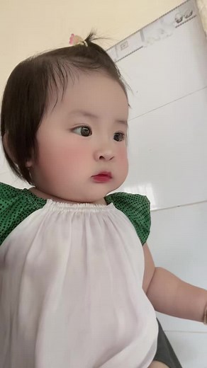 Mèo San San trên TikTok