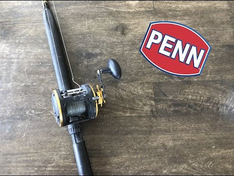 Penn Squall HONEST Review (My Thoughts)