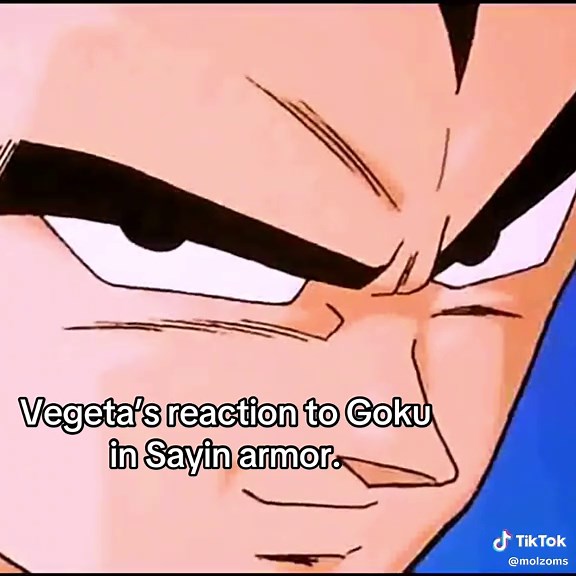 Vegeta's Perspective on Goku's Saiyan Armor